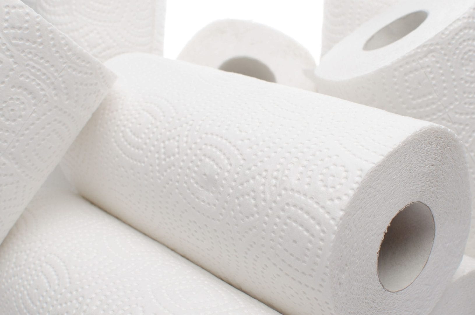 Toilet Paper Substitute, Paper Towels